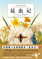 昆虫记：石蜂的苦难（第3卷）