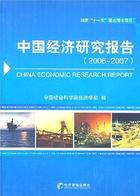 中国经济研究报告：2006~2007